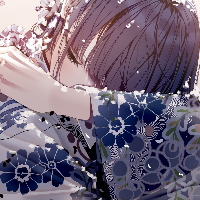 作者头像